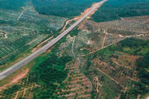 Aerial shot of agricultural fields and highway in Kemaman, Terengganu, Malaysia.