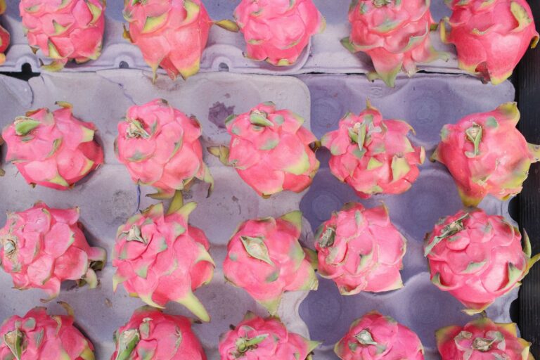 An overhead view of vibrant pink dragon fruits neatly arranged in a market tray.